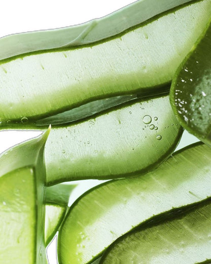 Gel douche crémeux Aloe Vivifiant 06