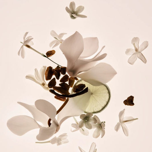 Island Vanilla 09