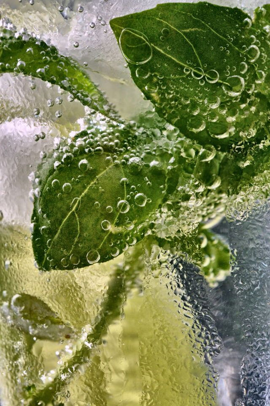 MINT plumping balm